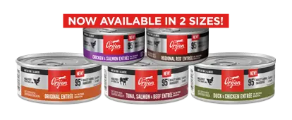 ORI-Wet-Cat-Food-5.5oz-DESKTOP 